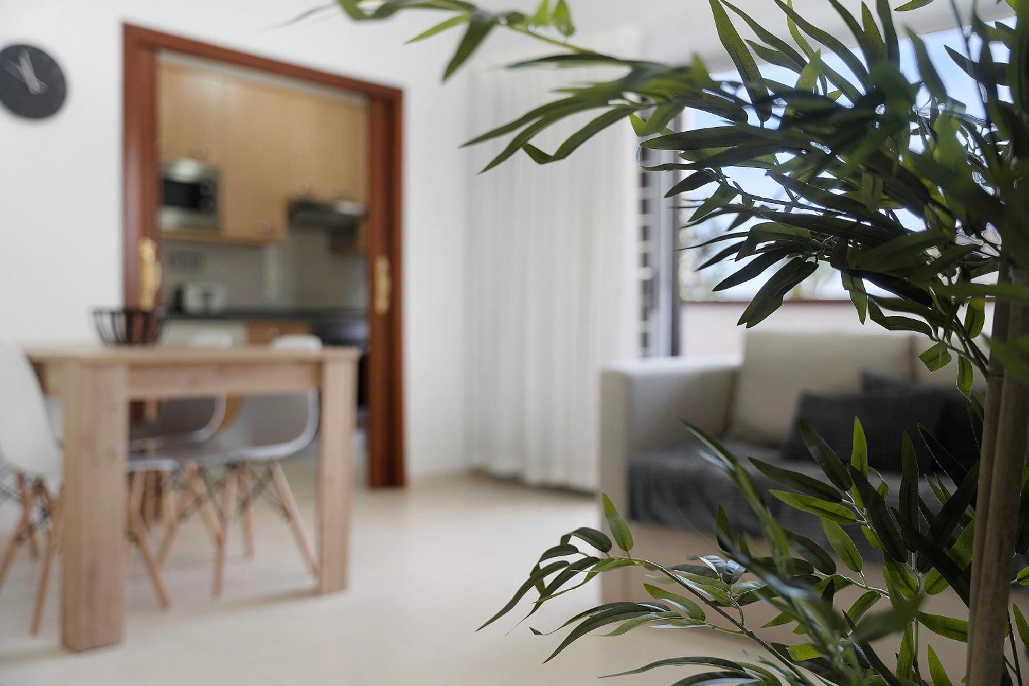 Apartamento Opuntia La Orotava Zewnętrze zdjęcie